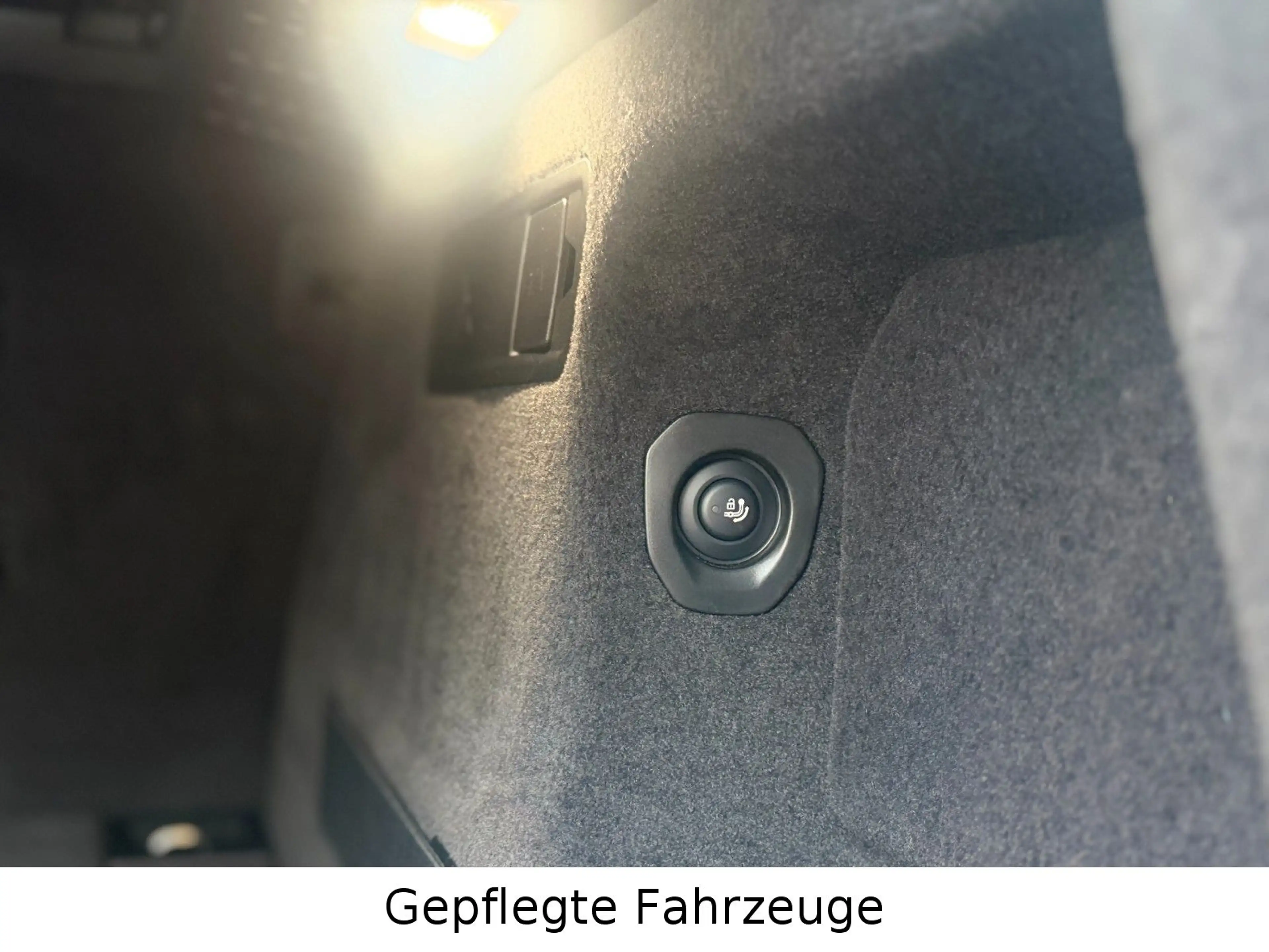 BMW X6 40i xDrive M Sport Pro Iconic Pano H&K AHK 22 — photo 12