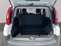 Fiat Panda VAN 1.2 69CV 2Posti Bianco - thumbnail 14