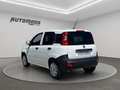 Fiat Panda VAN 1.2 69CV 2Posti Bianco - thumbnail 6