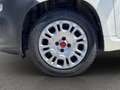 Fiat Panda VAN 1.2 69CV 2Posti Bianco - thumbnail 15