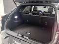 Ford Puma 1.0 ecoboost h ST-Line X s&s 125cv Grigio - thumbnail 19