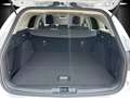 Ford Focus Titanium Turnier Winter P. e.Call Kamera Weiß - thumbnail 7