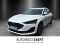 Ford Focus Titanium Turnier Winter P. e.Call Kamera Weiß - thumbnail 1