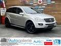 Mercedes-Benz ML 500 Memory Schiebedach Leder SHZ Luftf. LPG Argintiu - thumbnail 1