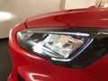 Ford Focus 1.0 EcoBoost Hybrid 125CV 5p.ST L. Rouge - thumbnail 6