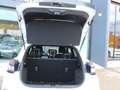 Ford Puma 1.0 EcoBoost 155cv STLine X MHEV Auto Blanco - thumbnail 23