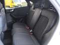 Ford Puma 1.0 EcoBoost 155cv STLine X MHEV Auto Blanco - thumbnail 11