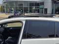 Volkswagen Golf GTI Golf 2.0 TSI GTI DSG 220 GTI Blanco - thumbnail 42