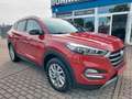 Hyundai TUCSON blue Passion 2WD Assist DAB AHK Rouge - thumbnail 1