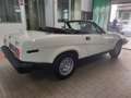 Triumph TR7 FANTASTICA!! TARGA ORO ASI CRS Beige - thumbnail 6