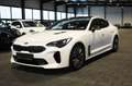 Kia Stinger 2.2 CRDi GT-Line 4WD (Techno+Exclusive) Weiß - thumbnail 1
