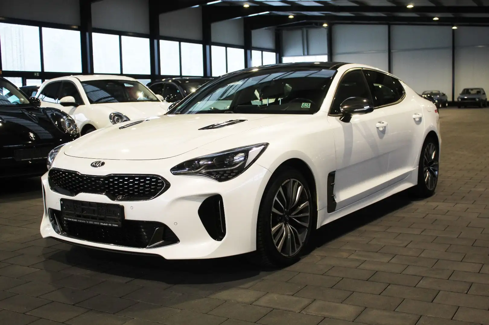 Kia Stinger 2.2 CRDi GT-Line 4WD (Techno+Exclusive) Weiß - 1