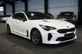 Kia Stinger 2.2 CRDi GT-Line 4WD (Techno+Exclusive) Weiß - thumbnail 3