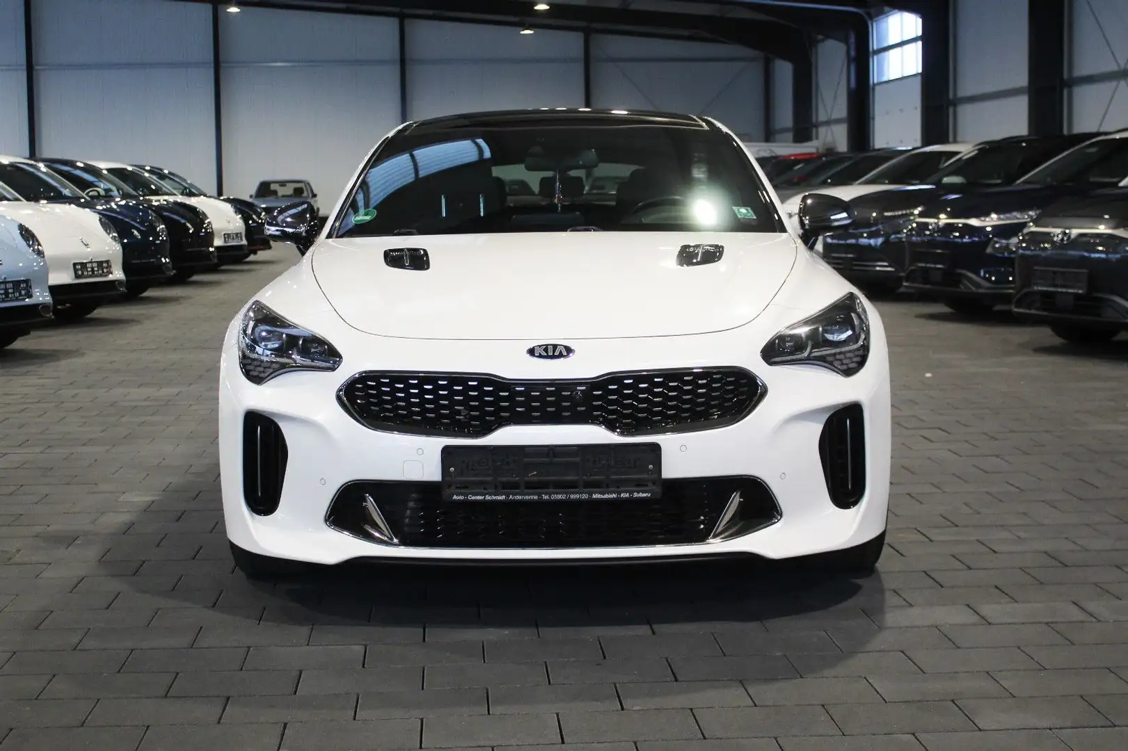 Kia Stinger 2.2 CRDi GT-Line 4WD (Techno+Exclusive) Weiß - 2
