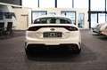 Kia Stinger 2.2 CRDi GT-Line 4WD (Techno+Exclusive) Weiß - thumbnail 5