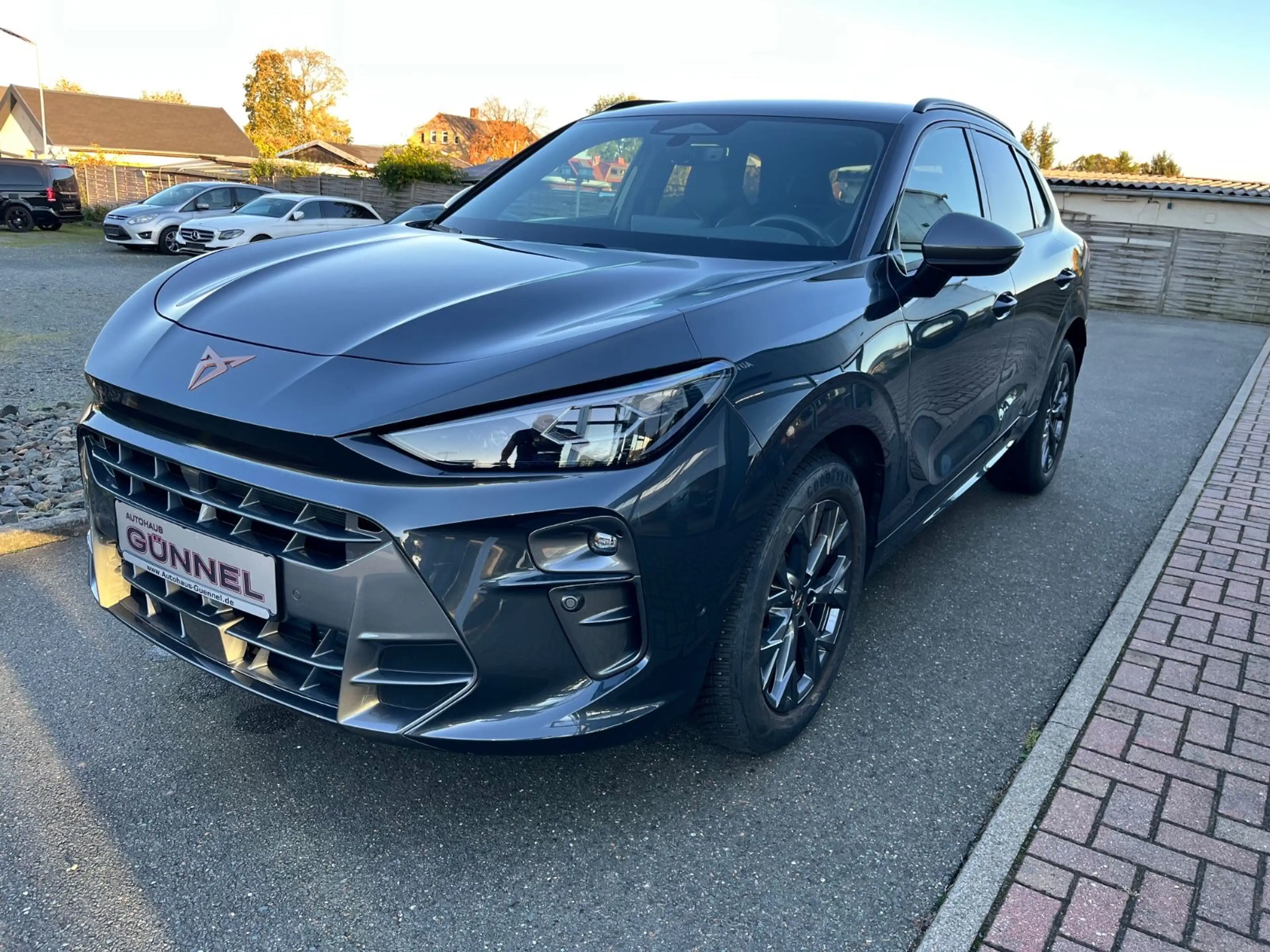 CUPRA Terramar 2.0 TSI 150 kW 4Drive NAVI-MATRIX-TOTW — photo 3
