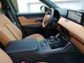 Mazda CX-60 3,3 AWD AT Homura Rückfahrkamera, AutoHold Rot - thumbnail 15