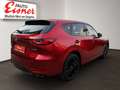 Mazda CX-60 3,3 AWD AT Homura Rückfahrkamera, AutoHold Rot - thumbnail 14
