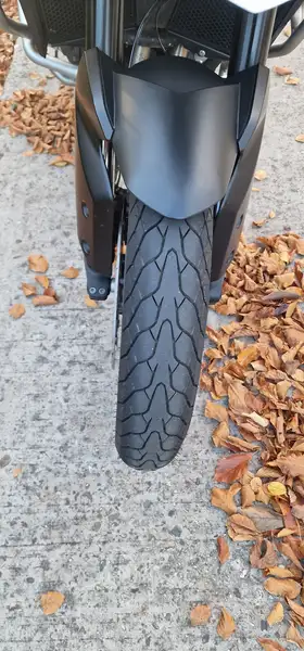 Triumph Tiger 900 - foto 8