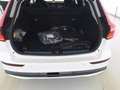 Volvo V60 Kombi Plus Dark Recharge Plug-In Hybrid AWD HUD St Weiß - thumbnail 7
