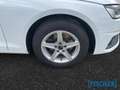 Audi A4 Avant 30TDI S tronic LED Navi SHZ ACC Vorber. AHK Weiß - thumbnail 7
