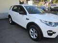 Land Rover Discovery Sport Discovery Sport I 2015 2.0 td4 Pure awd 150cv Weiß - thumbnail 3