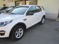Land Rover Discovery Sport Discovery Sport I 2015 2.0 td4 Pure awd 150cv Weiß - thumbnail 4
