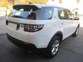 Land Rover Discovery Sport Discovery Sport I 2015 2.0 td4 Pure awd 150cv Weiß - thumbnail 2
