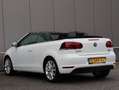 Volkswagen Golf Cabriolet 1.2 TSI BlueMotion navi LM airco Blanc - thumbnail 9