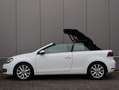 Volkswagen Golf Cabriolet 1.2 TSI BlueMotion navi LM airco Blanc - thumbnail 7