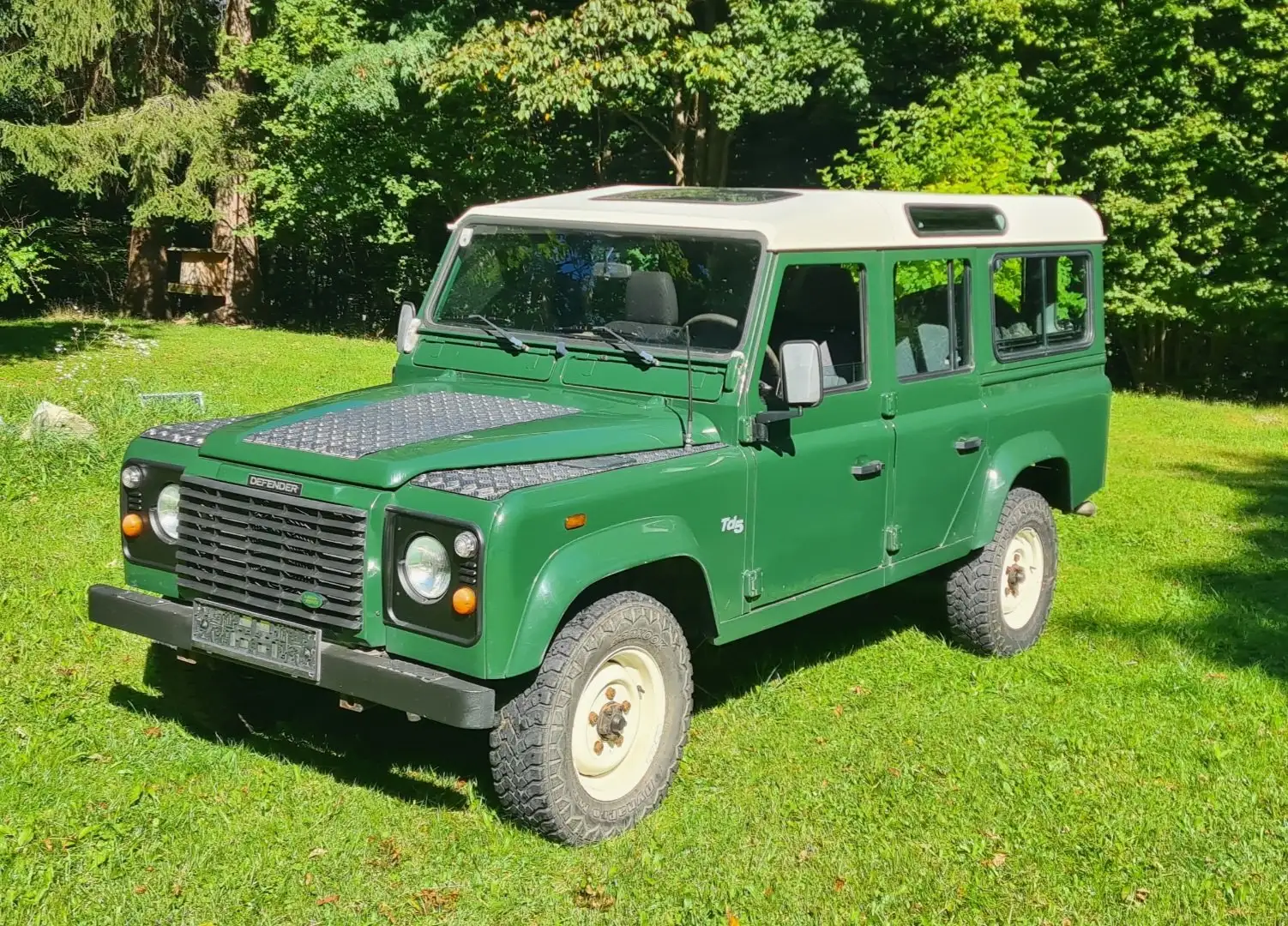 Land Rover Defender Defender 110" Station Wagon 2,5 Td5 Grün - 1