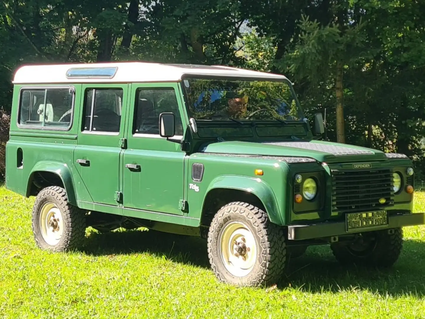 Land Rover Defender Defender 110" Station Wagon 2,5 Td5 Grün - 2