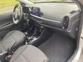 Kia Picanto 1.0 CVVT ECONOMY PLUSLINE ANDROID 5DRS Grau - thumbnail 18