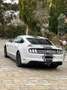 Ford Mustang Fastback 5.0 Ti-VCT V8 Aut. GT Weiß - thumbnail 3