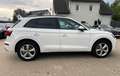 Audi Q5 SLINE 40TDI quattro S-tronic-PANODACH-VIRTUAL Weiß - thumbnail 7