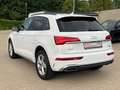 Audi Q5 SLINE 40TDI quattro S-tronic-PANODACH-VIRTUAL Weiß - thumbnail 11