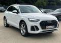 Audi Q5 SLINE 40TDI quattro S-tronic-PANODACH-VIRTUAL Weiß - thumbnail 5