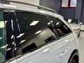 Audi A6 allroad 50 3.0 tdi mhev 48V Evolution quattro 286cv tip. Bianco - thumbnail 9