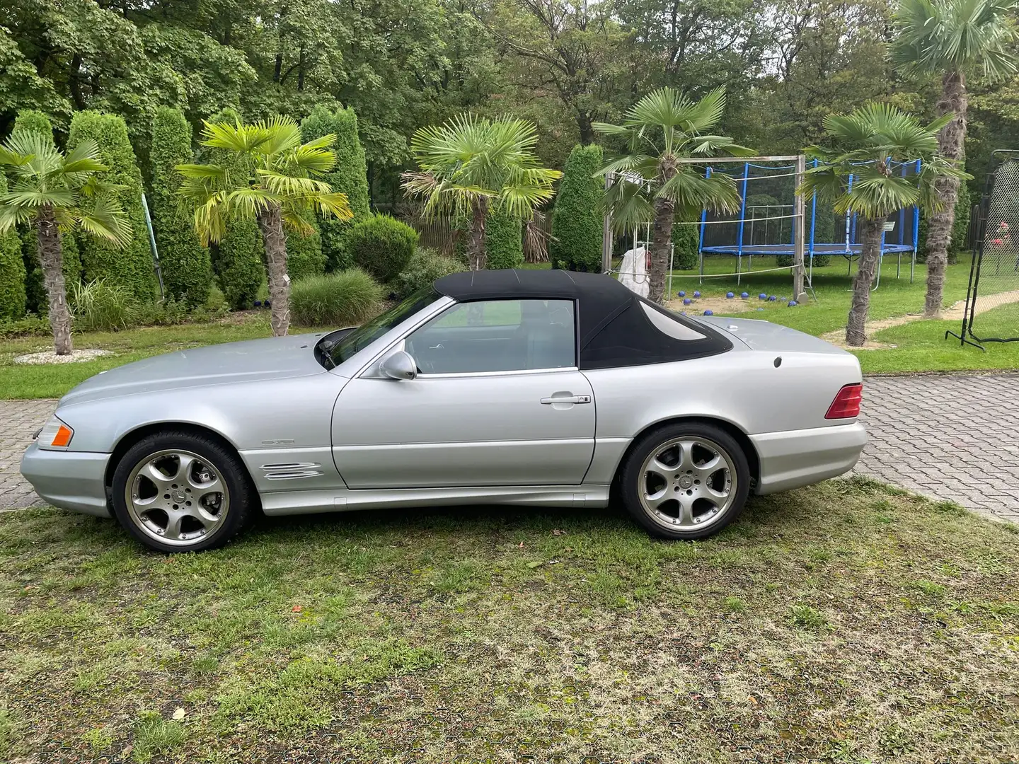 Mercedes-Benz SL 600 SILVER ARROW AMG Argintiu - 2