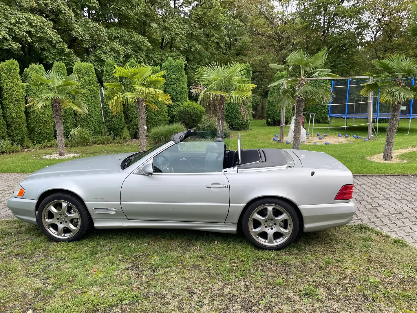 Mercedes-Benz SL 600 SILVER ARROW AMG Argintiu - 1