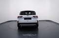 Ford Kuga 1.5 EcoBoost 120cv 2WD Titanium Bianco - thumbnail 5
