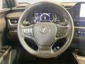 Lexus UX 300h 2.0  Plus - thumbnail 13