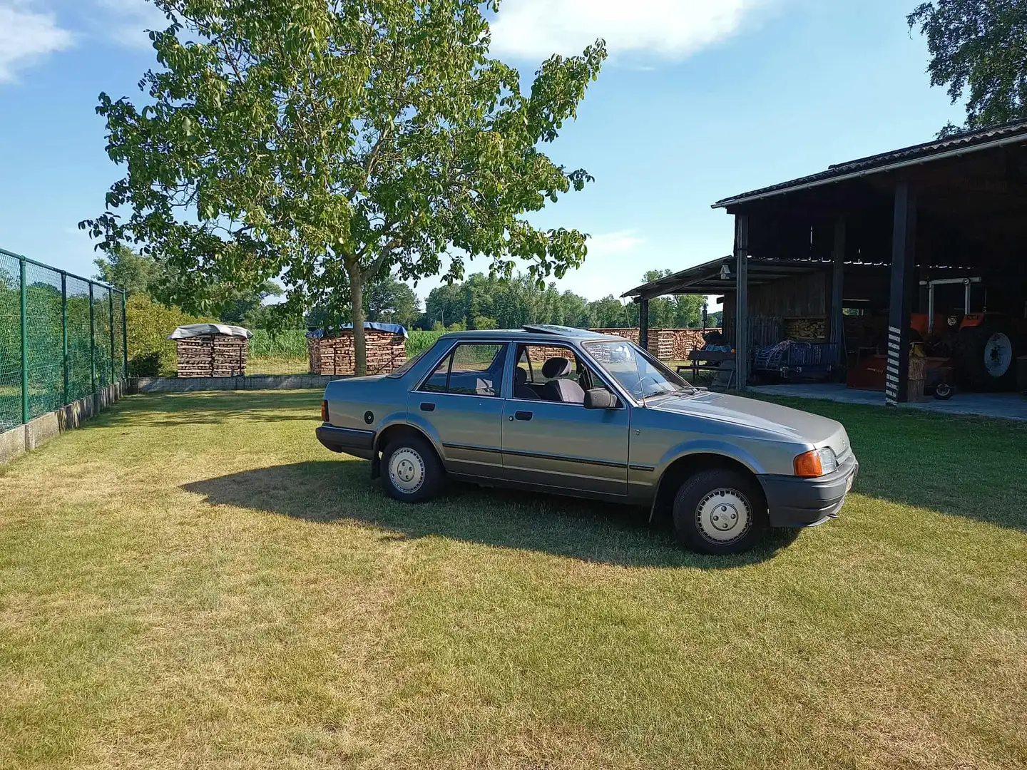 Ford Orion Szary - 2