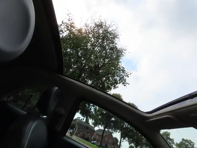 Fiat 500C view 24