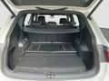 SEAT Tarraco 1.5 TSI S&S FR DSG 150 Blanco - thumbnail 20