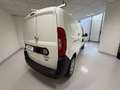 Fiat Doblo 1.6 MJT 105CV PL-TN Cargo Maxi Lamierato SX Bianco - thumbnail 15