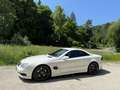 Mercedes-Benz SL 55 AMG SL 55 AMG Automatik Blanc - thumbnail 5