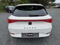 CUPRA Leon 1.5 eTSI DSG*PARKLENK*PDC+KAMERA*SHZ*ACC*LE Blanc - thumbnail 5