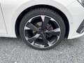 CUPRA Leon 1.5 eTSI DSG*PARKLENK*PDC+KAMERA*SHZ*ACC*LE Blanc - thumbnail 26
