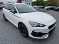 CUPRA Leon 1.5 eTSI DSG*PARKLENK*PDC+KAMERA*SHZ*ACC*LE Blanc - thumbnail 1